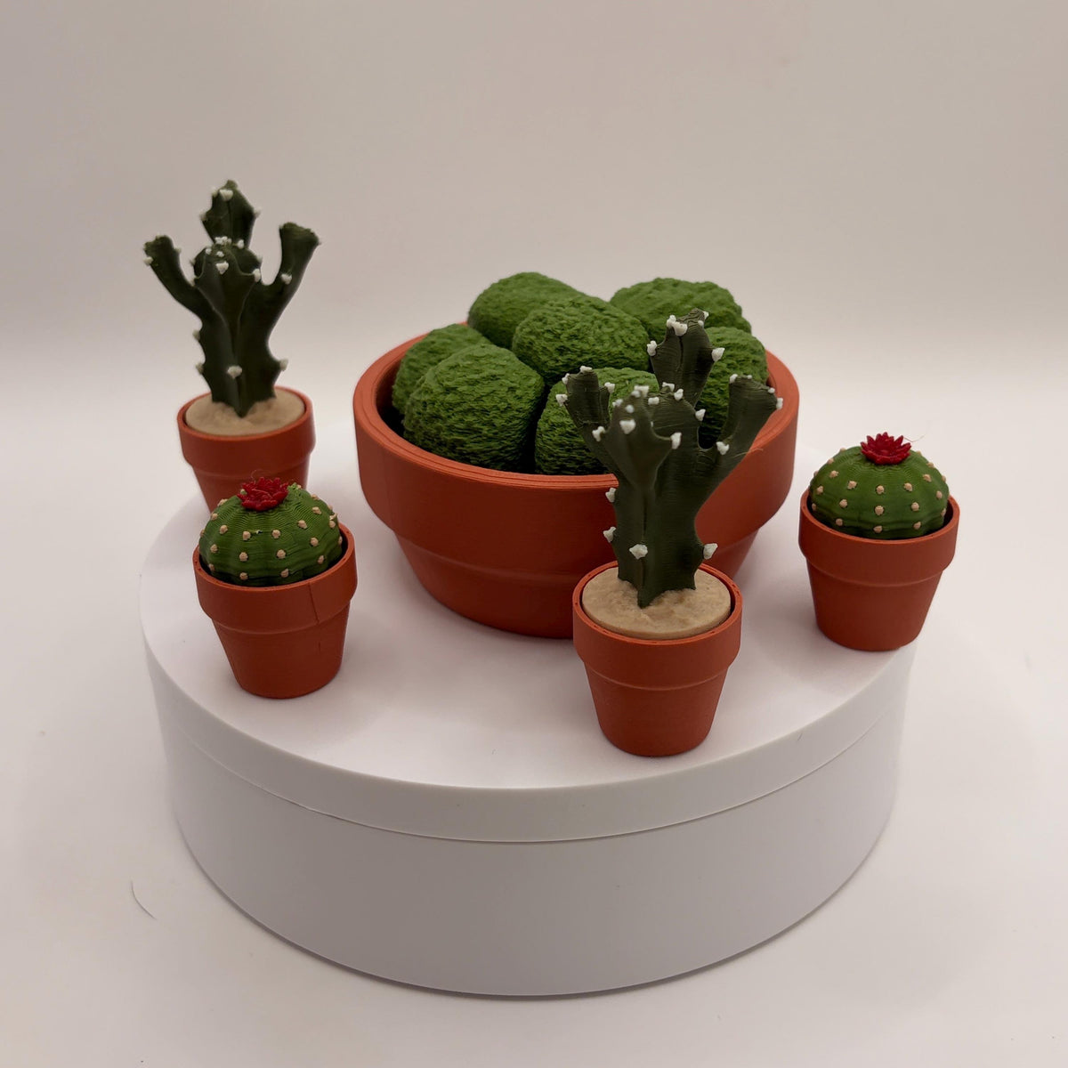 Miniature 3D Printed Cactus Set | Realistic Desert Desk Decor (3-5 Cactus Options)  - Licensed ForgeCore