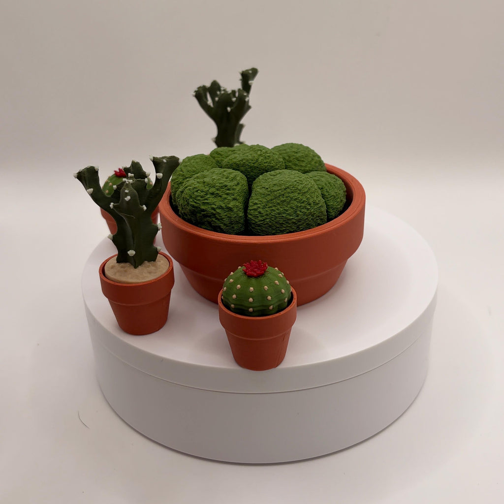 Miniature 3D Printed Cactus Set | Realistic Desert Desk Decor (3-5 Cactus Options)  - Licensed ForgeCore