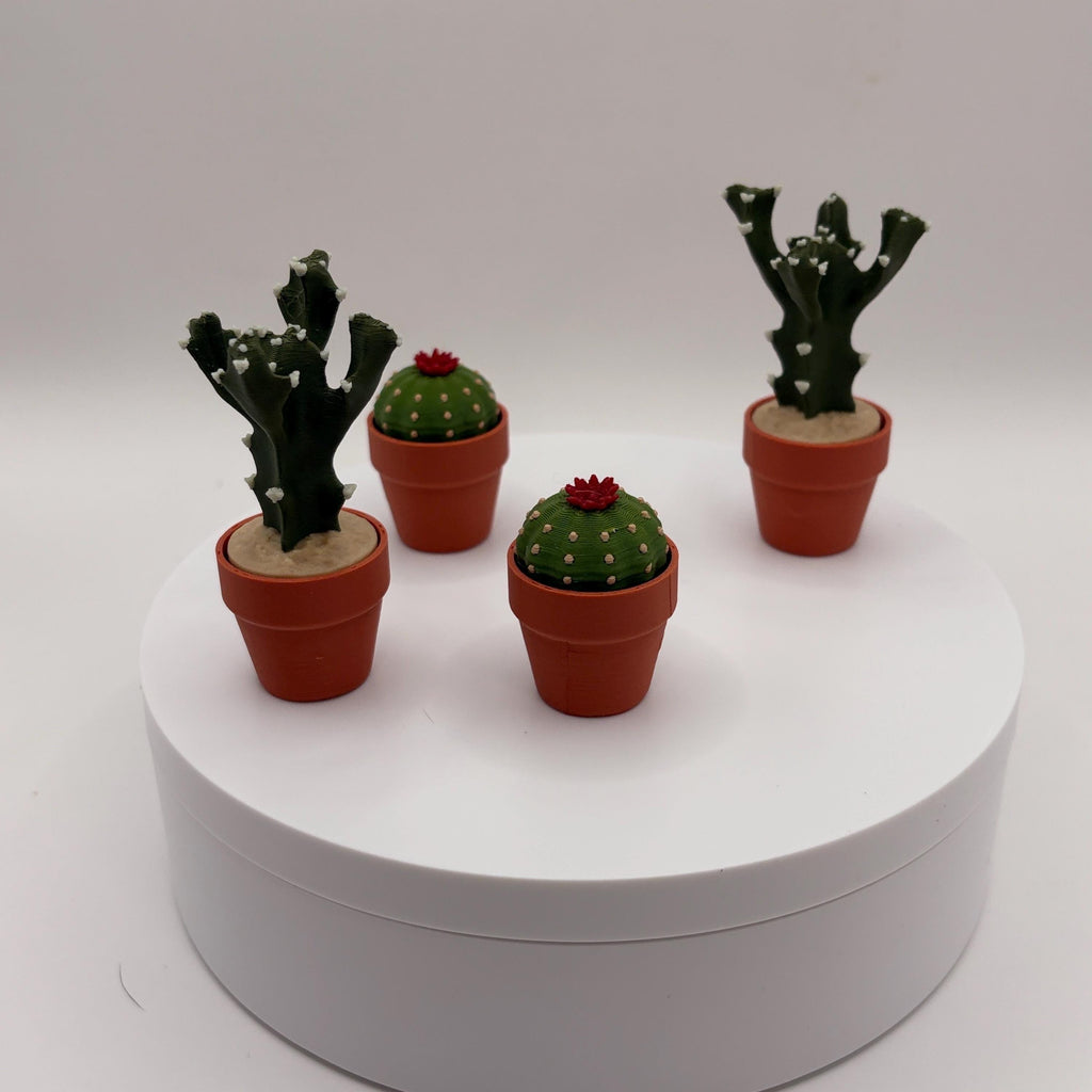 Miniature 3D Printed Cactus Set | Realistic Desert Desk Decor (3-5 Cactus Options)  - Licensed ForgeCore