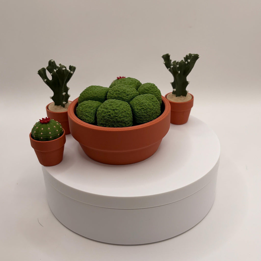 Miniature 3D Printed Cactus Set | Realistic Desert Desk Decor (3-5 Cactus Options)  - Licensed ForgeCore