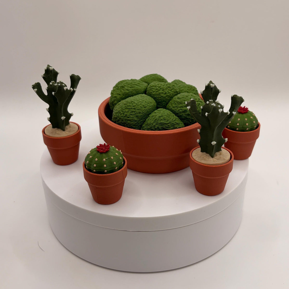 Miniature 3D Printed Cactus Set | Realistic Desert Desk Decor (3-5 Cactus Options)  - Licensed ForgeCore