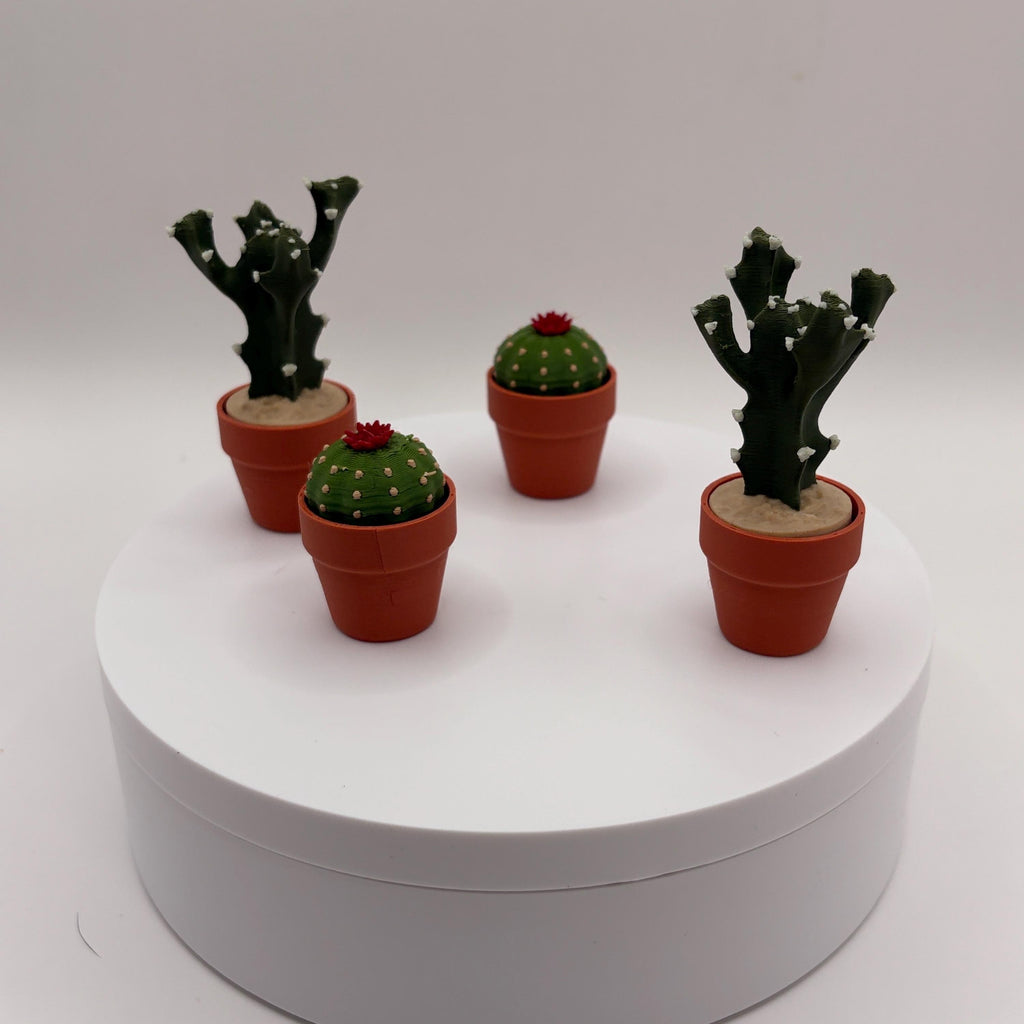 Miniature 3D Printed Cactus Set | Realistic Desert Desk Decor (3-5 Cactus Options)  - Licensed ForgeCore