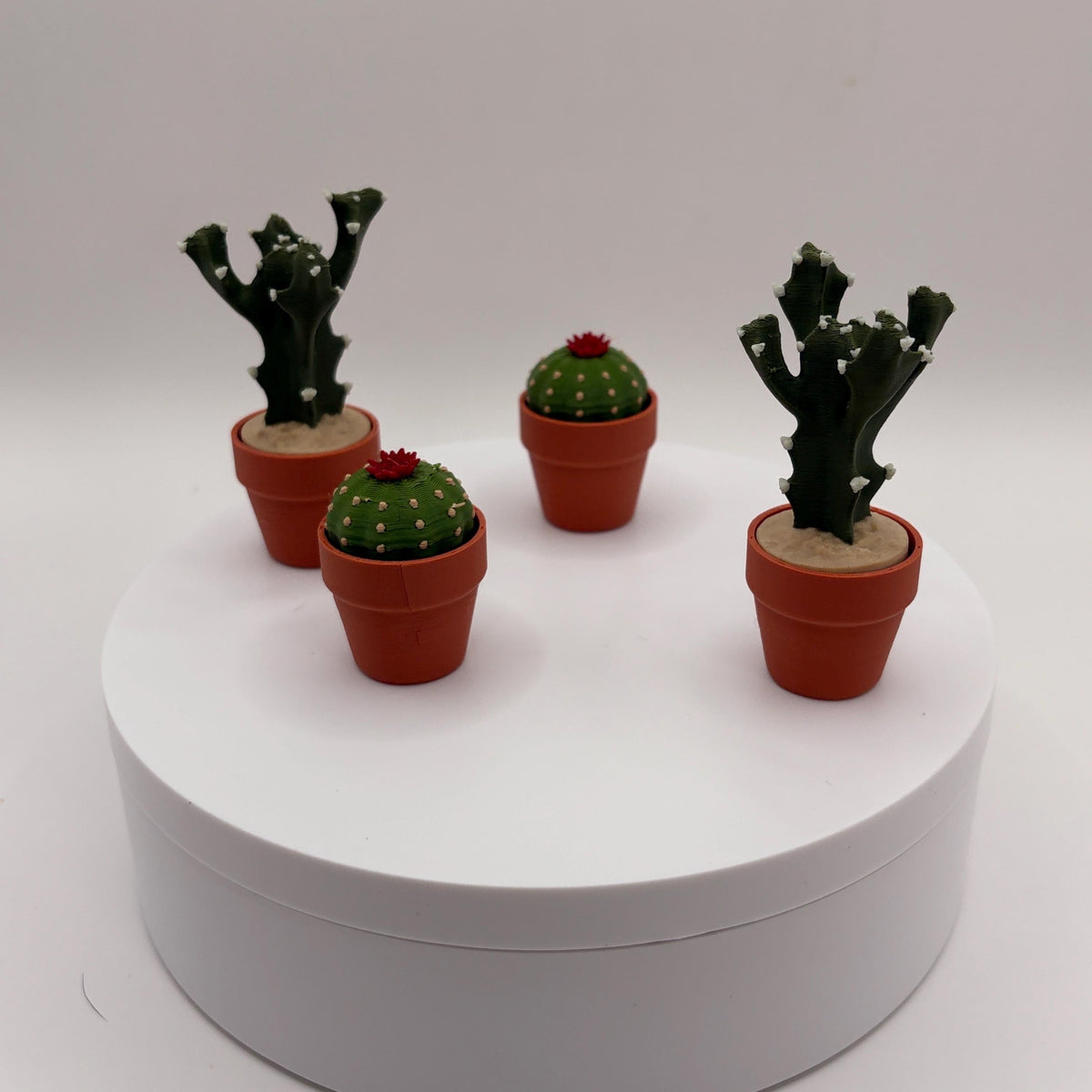 Miniature 3D Printed Cactus Set | Realistic Desert Desk Decor (3-5 Cactus Options)  - Licensed ForgeCore
