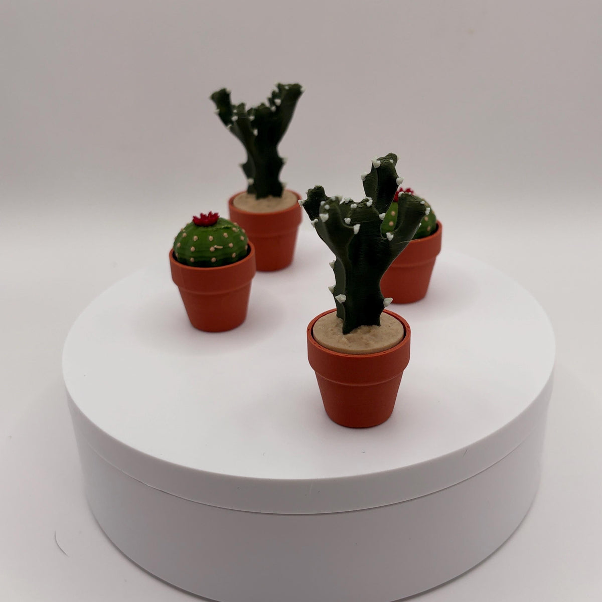 Miniature 3D Printed Cactus Set | Realistic Desert Desk Decor (3-5 Cactus Options)  - Licensed ForgeCore