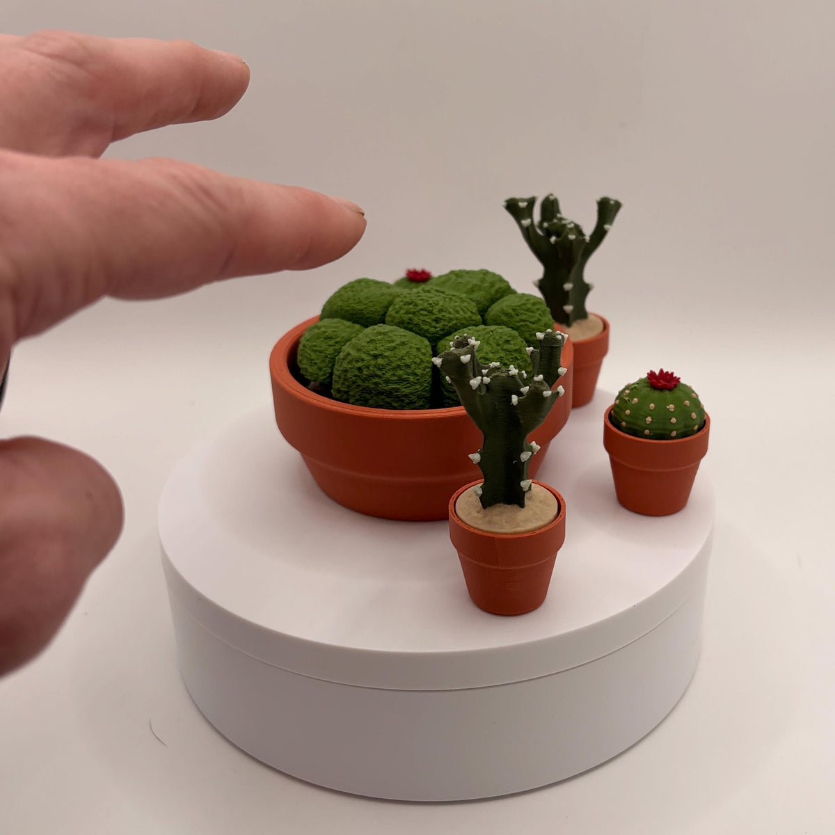 Miniature 3D Printed Cactus Set | Realistic Desert Desk Decor (3-5 Cactus Options)  - Licensed ForgeCore