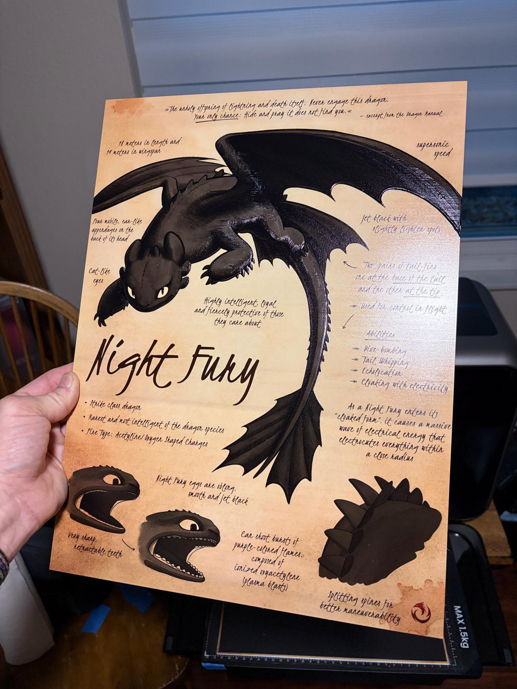 Night Fury UV Textured Artwork, Tactile Dragon Plaque, How To Train Your Dragon Display