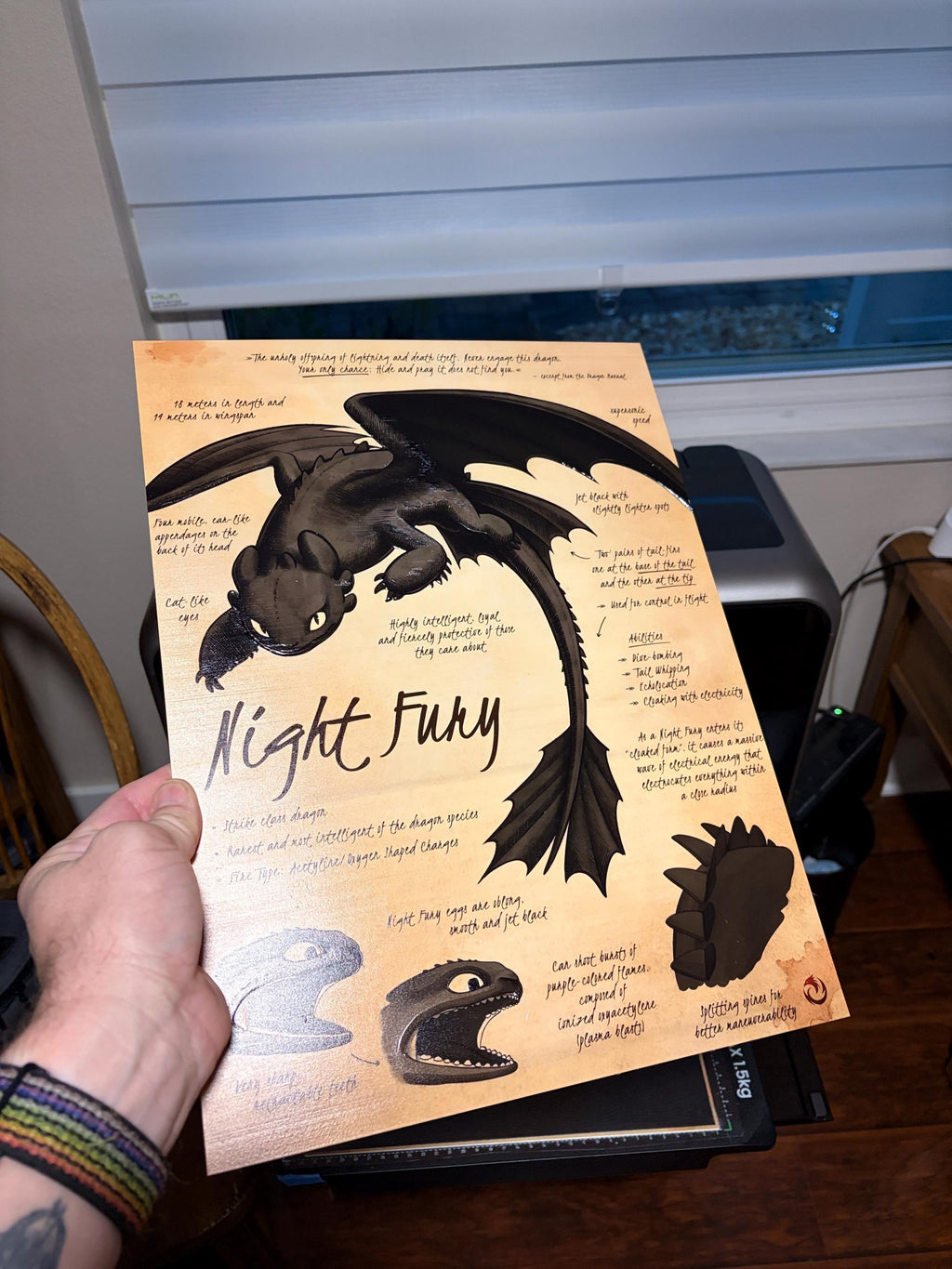 Night Fury UV Textured Artwork, Tactile Dragon Plaque, How To Train Your Dragon Display